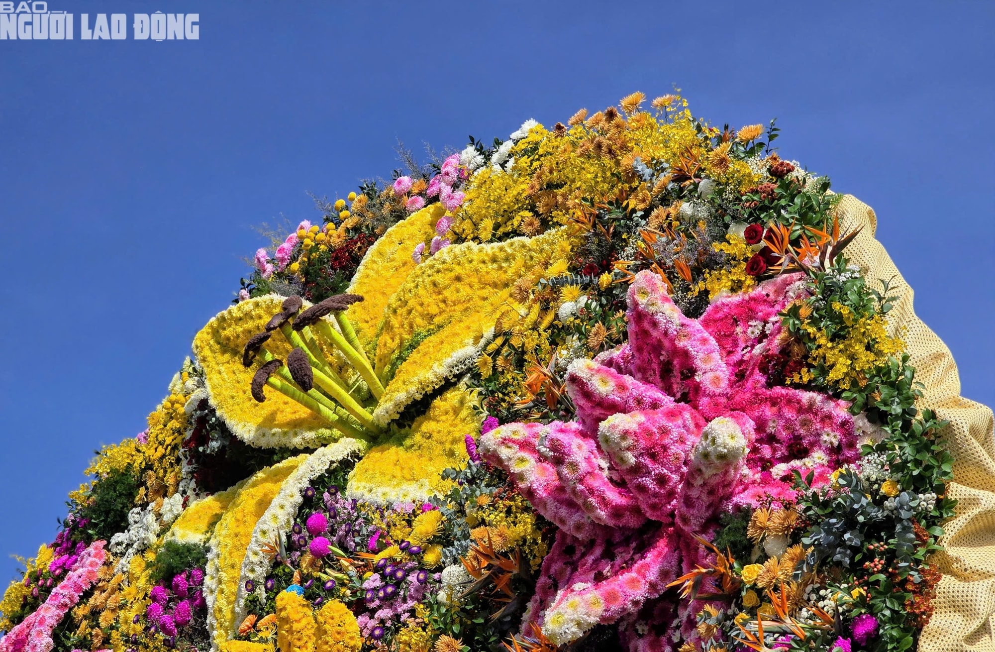 - Ảnh 5. - Ảnh 5.