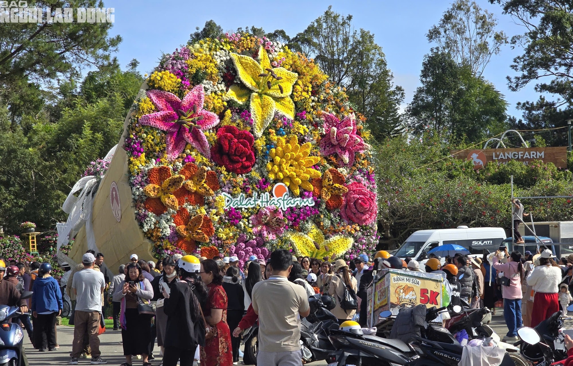 - Ảnh 6. - Ảnh 6.