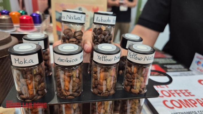 Giá cà phê hôm nay 15 - 12: Xu hướng giảm giá và dự báo từ ông trùm cà phê - Ảnh 2.