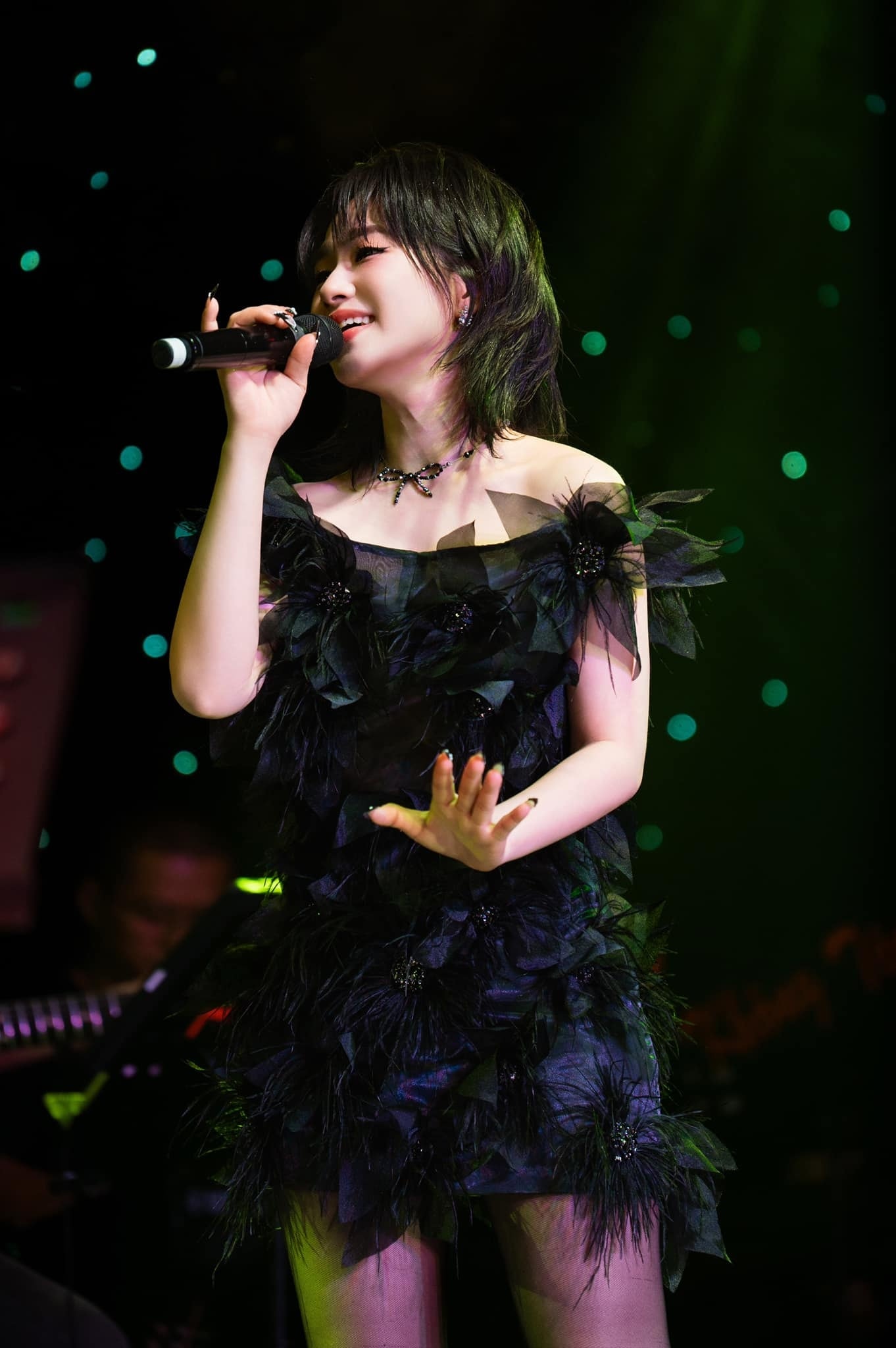 lương bích hữu ảnh 9 luong bich huu anh 9