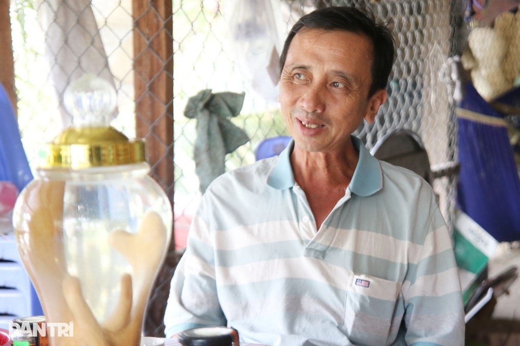 Chi hàng trăm triệu nuôi “tứ đại danh dược” kéo dài tuổi thọ ở An Giang - 2