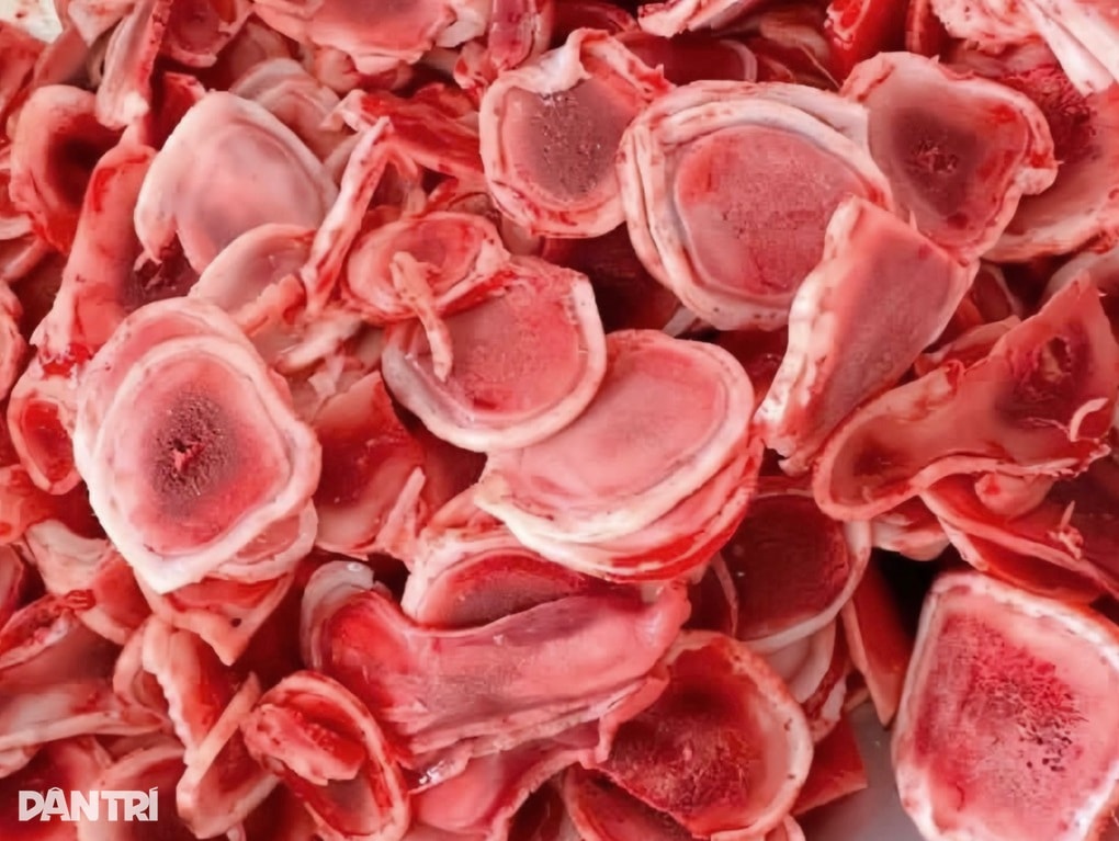 Chi hàng trăm triệu nuôi “tứ đại danh dược” kéo dài tuổi thọ ở An Giang - 3