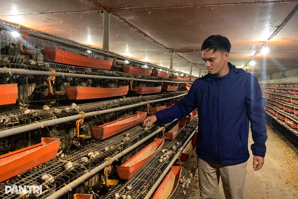 Bỏ việc nhà nước về nuôi chim, chàng trai thành triệu phú - 1 Bỏ việc nhà nước về nuôi chim, chàng trai thành triệu phú - 1