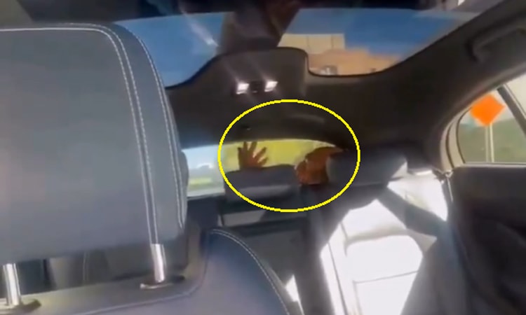 Người lạ trốn trong taxi tự lái