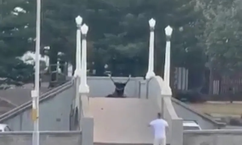 Người giúp tước súng khủng bố bị cảnh sát bắn nhầm