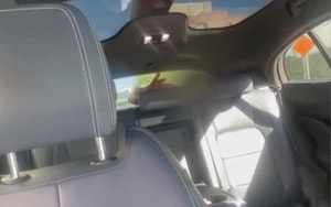 Phát hiện xác sinh vật lạ trên bãi biển, da óng ánh như ngọc trai gây sốc - Ảnh 3.