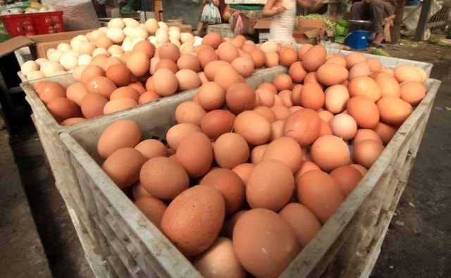 Hơn chục người đã phải nhập viện sau khi ăn trứng bị nhiễm khuẩn - Ảnh 1.