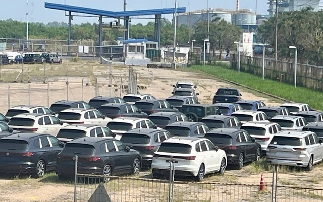 - Ảnh 1. - Ảnh 1.