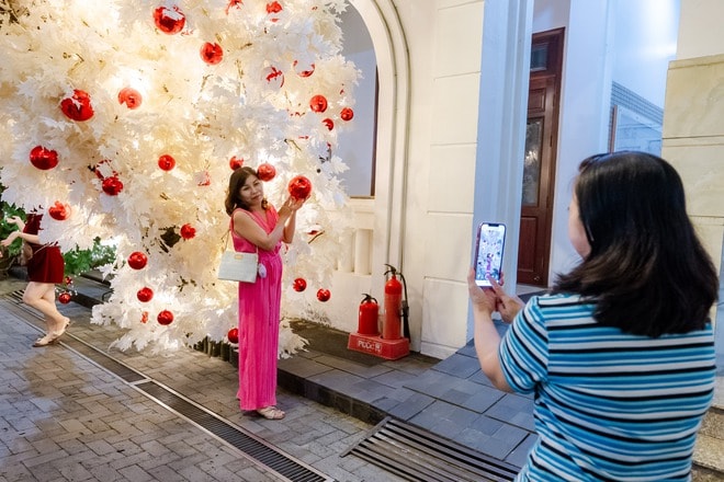 VIDEO: Nhà thờ trang trí hàng chục cây thông Giáng sinh "hot hit" tại TPHCM - Ảnh 12.