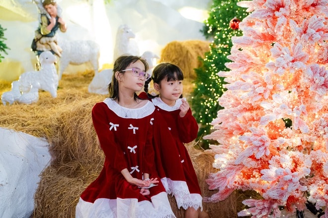 VIDEO: Nhà thờ trang trí hàng chục cây thông Giáng sinh "hot hit" tại TPHCM - Ảnh 17.