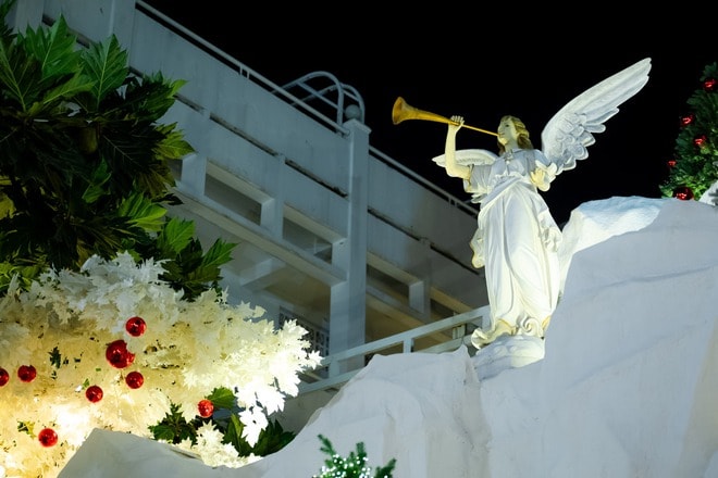 VIDEO: Nhà thờ trang trí hàng chục cây thông Giáng sinh "hot hit" tại TPHCM - Ảnh 21.