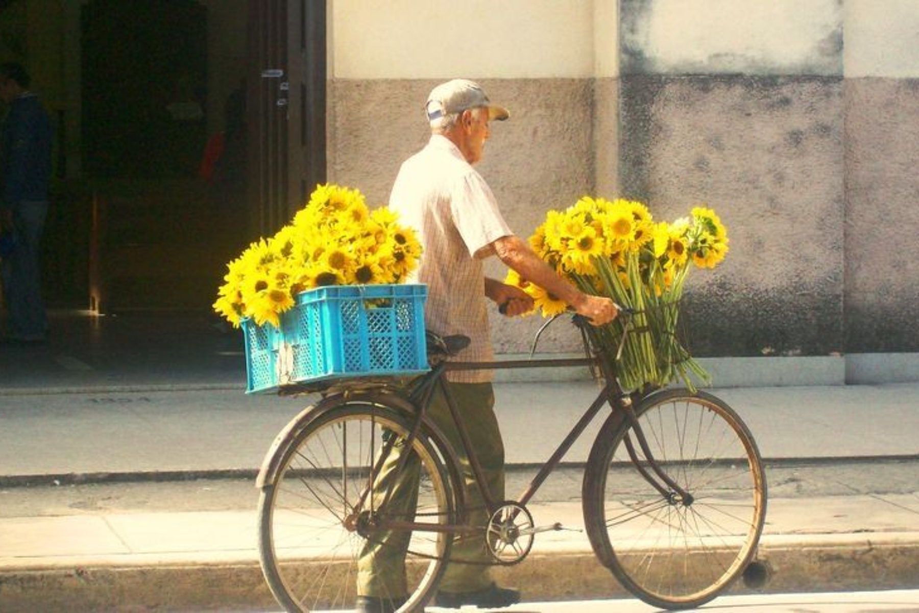 Bạn không cần chụp một bức ảnh thật hoàn hảo