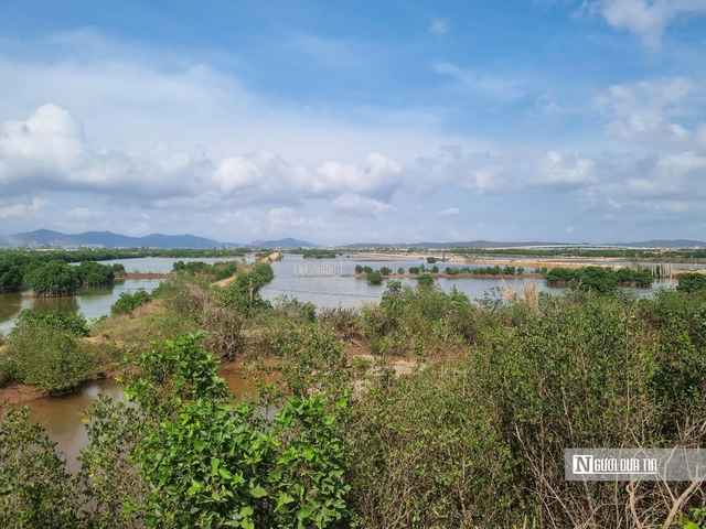 Đâu là chìa khóa mở ra kỷ lục thu ngân sách năm 2025 của Quảng Ninh - Ảnh 2.