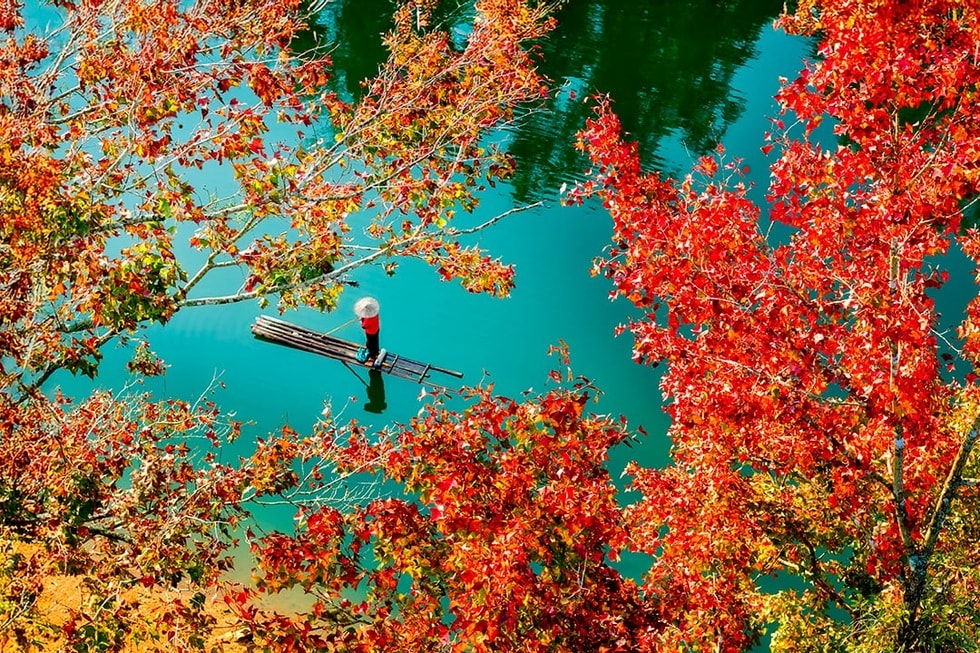 Rừng cây lá đỏ nhuộm màu hồ nhân tạo tại Cao Bằng như ở châu Âu - 2