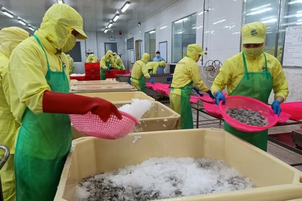 Thưởng Tết 2026 cao nhất 200 triệu đồng, thấp nhất 100.000 đồng - 1