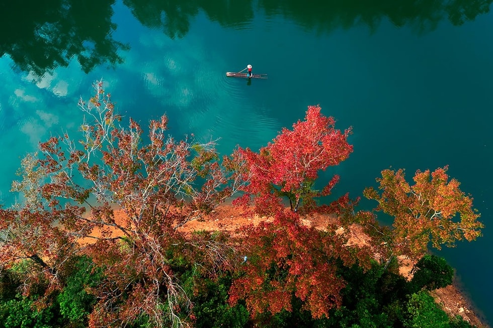 Rừng cây lá đỏ nhuộm màu hồ nhân tạo tại Cao Bằng như ở châu Âu - 1