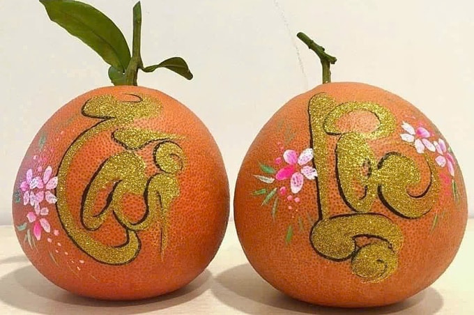 Bưởi đỏ tiến Vua trồng theo hướng hữu cơ tại nhà vườn ở Thanh Hóa. Ảnh: Tiến Hải