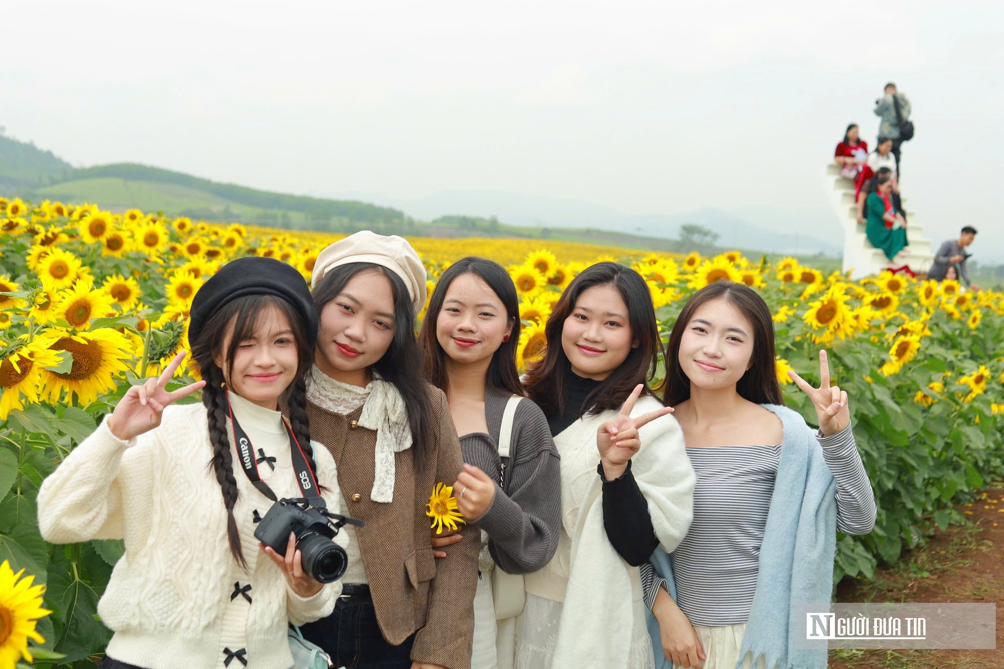 Giới trẻ mê mẩn check – in sống ảo với cánh đồng hoa hướng dương ở xứ Nghệ- Ảnh 3.