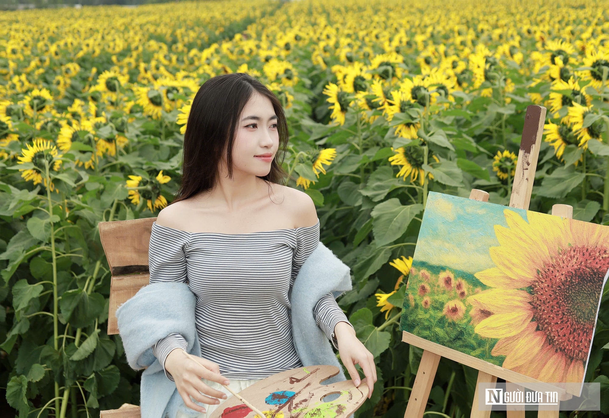 Giới trẻ mê mẩn check – in sống ảo với cánh đồng hoa hướng dương ở xứ Nghệ- Ảnh 6.