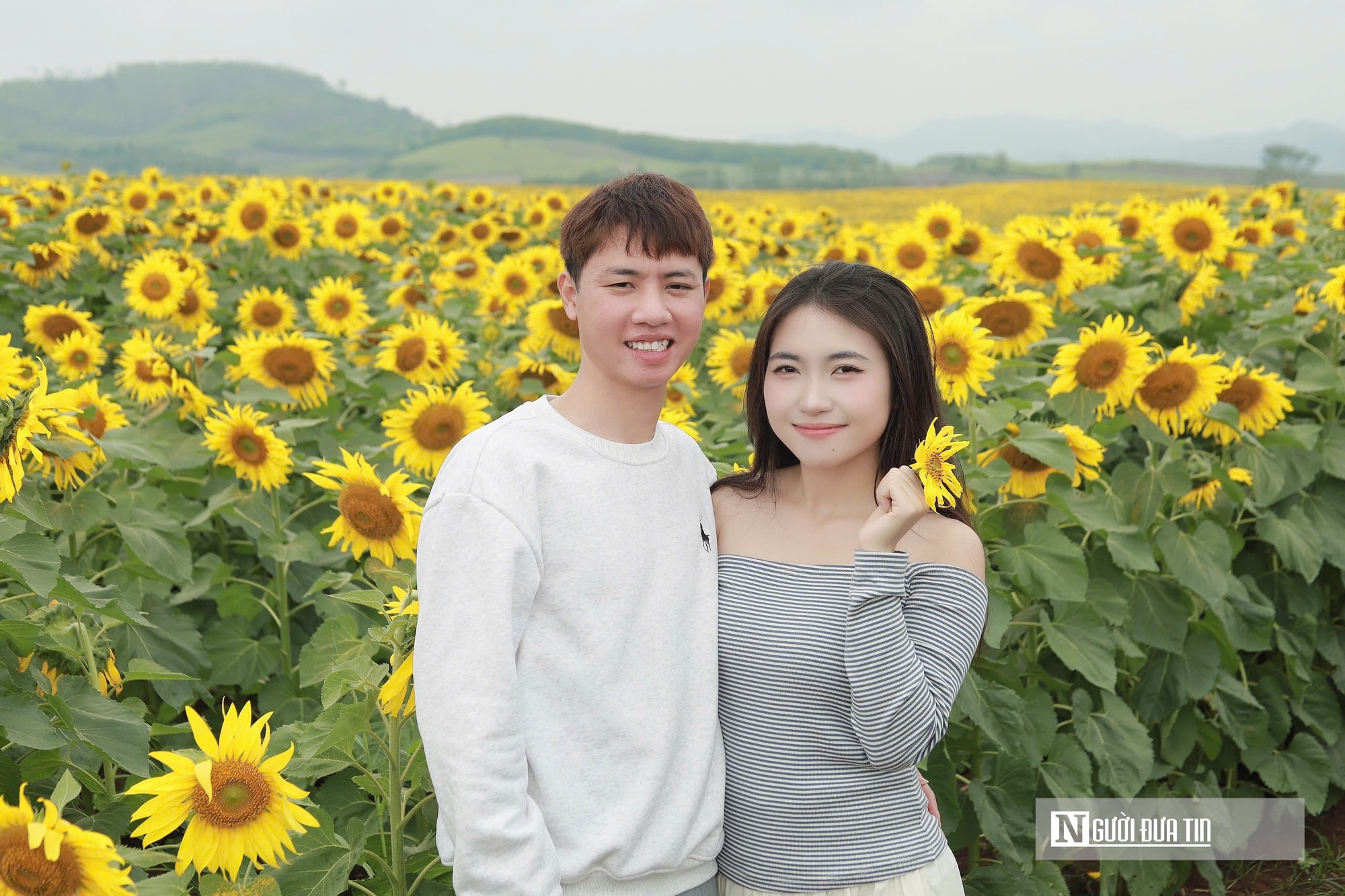 Giới trẻ mê mẩn check – in sống ảo với cánh đồng hoa hướng dương ở xứ Nghệ- Ảnh 7.