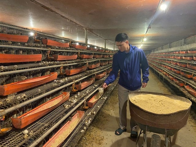 Từ hai bàn tay trắng, chàng trai trẻ trở thành triệu phú nhờ nuôi con 