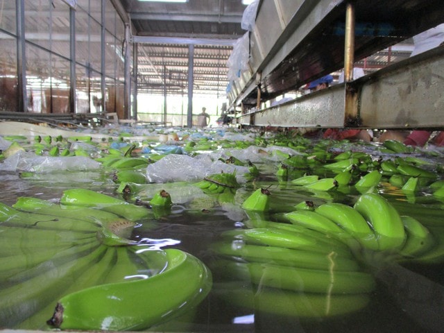 Dấu ấn công trình trọng điểm trong chiến lược phát triển bền vững của VRG - Ảnh 4.