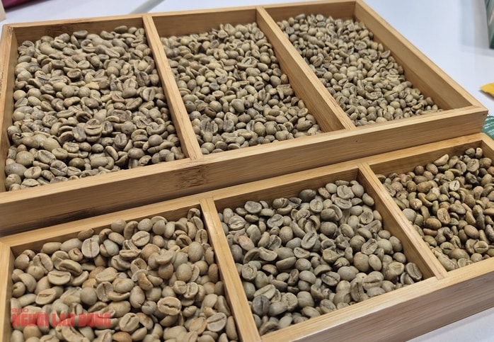 Giá cà phê hôm nay 18-12: Lao dốc phiên thứ 5 - Ảnh 1.