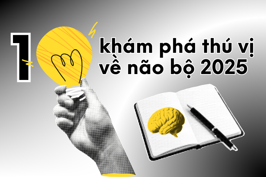 10 khám phá đáng kinh ngạc nhất về não bộ năm 2025 