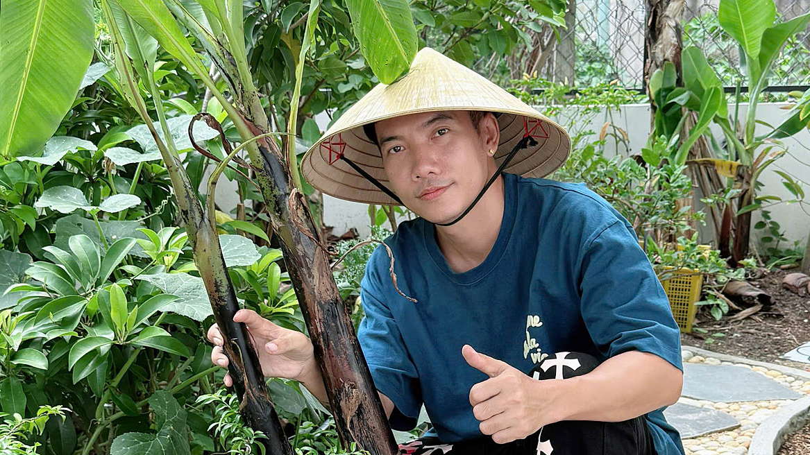 Phạm Trưởng trồng chuối, rau trên sân thượng 40 m2