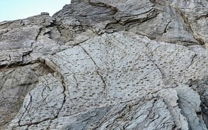 Tắm sông cùng bạn, bé trai 10 tuổi bị thứ đáng sợ kéo xuống nước sâu tử vong - Ảnh 5.