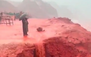 Ba người đàn ông thiêu sống voi rừng gây phẫn nộ - Ảnh 3.