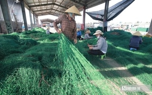 Người đàn ông vùng biển đưa sự mặn mòi của mắm truyền thống đi xa, thu về hàng tỷ đồng/năm- Ảnh 6.