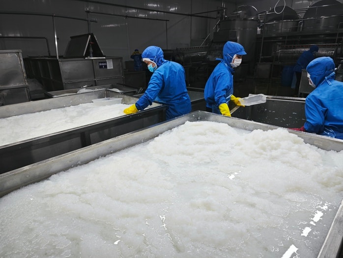 Kinh tế tư nhân - Động lực phải thành thực tế: Trợ lực để kinh tế tư nhân chuyển mình - Ảnh 1.