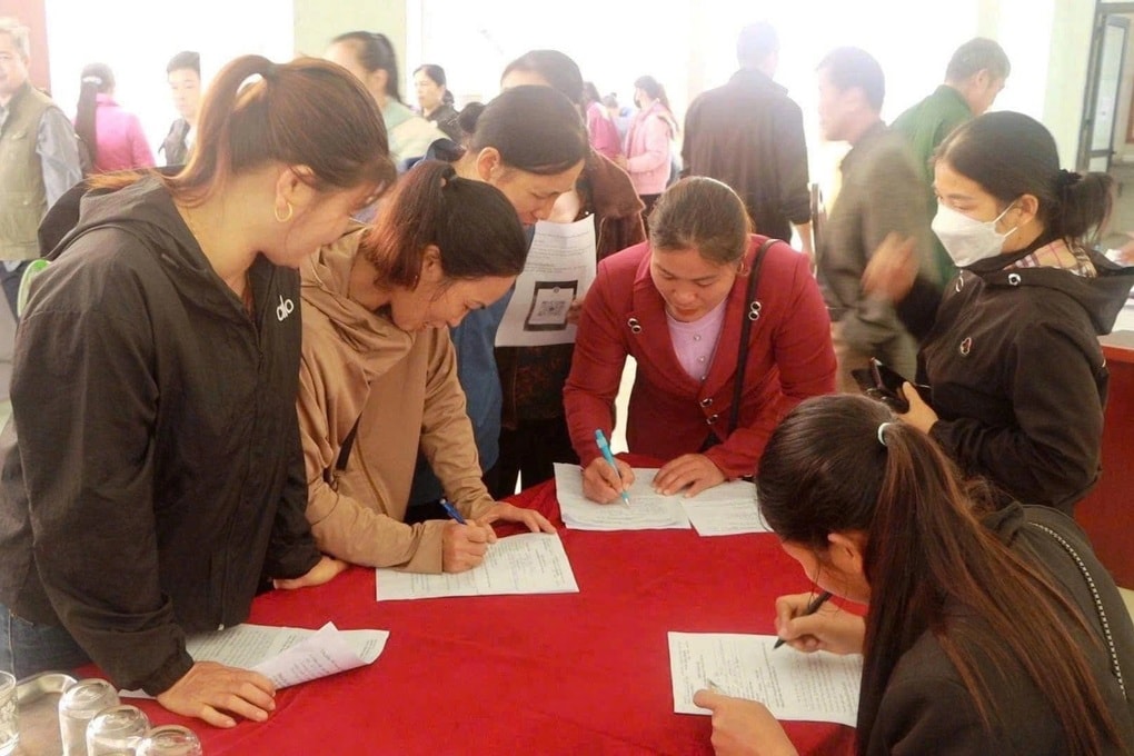 8.500 lao động thuộc hộ nghèo, cận nghèo được hỗ trợ kết nối việc làm - 1