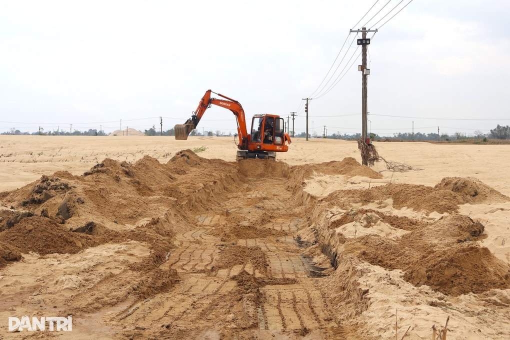 Đồng ruộng như sa mạc, cát phủ dày cả mét sau lũ - 2