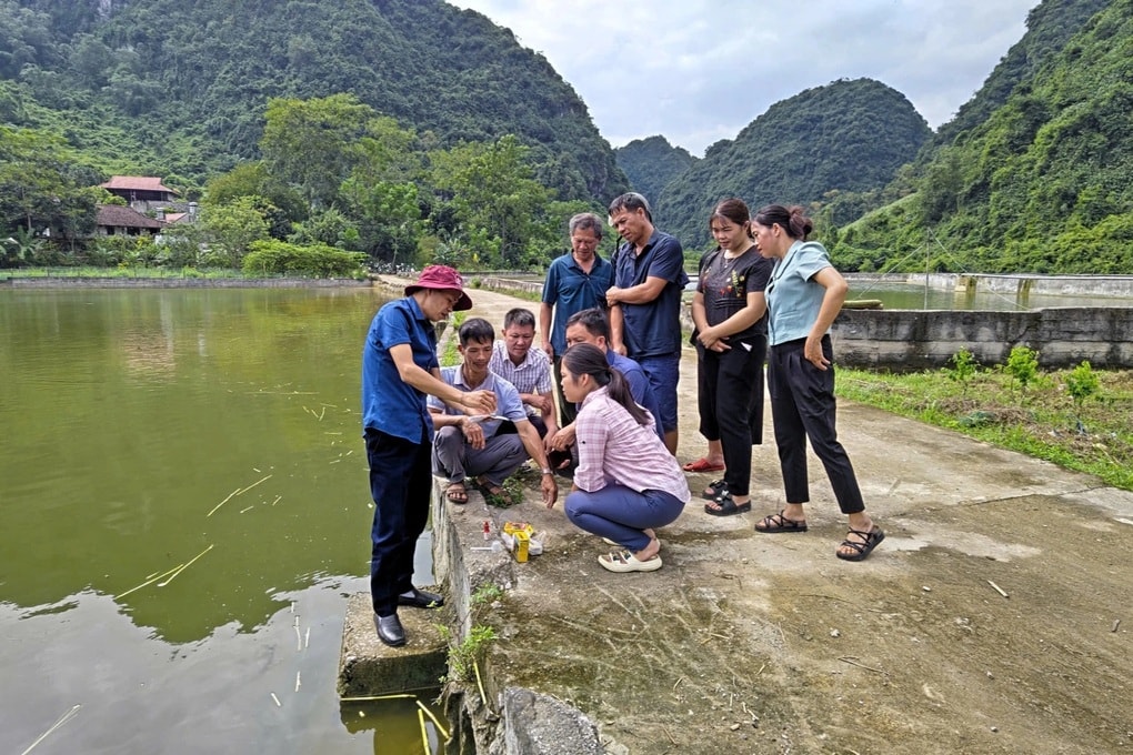 Hàng trăm mô hình sinh kế giúp hộ nghèo, cận nghèo cải thiện thu nhập - 1
