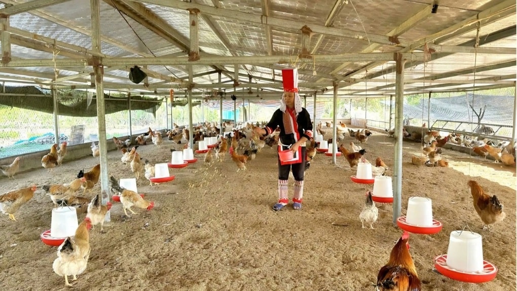 Đào tạo nghề cho lao động nông thôn, khuyến khích vươn lên thoát nghèo - 1