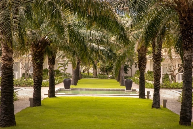 2026 là năm du khách hướng tới các kỳ nghỉ ở nơi có không gian tĩnh lặng để thư giãn. Trên ảnh là khu vực vườn cọ tại khu nghỉ dưỡng Arezai Kê Gà Bay, nơi vừa được vinh danh là Khu nghỉ dưỡng Boutique Tốt nhất Việt Nam 2025. Ảnh: Booking