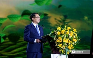 Điểm nhấn mới trong chiến lược phát triển du lịch Lâm Đồng- Ảnh 4.