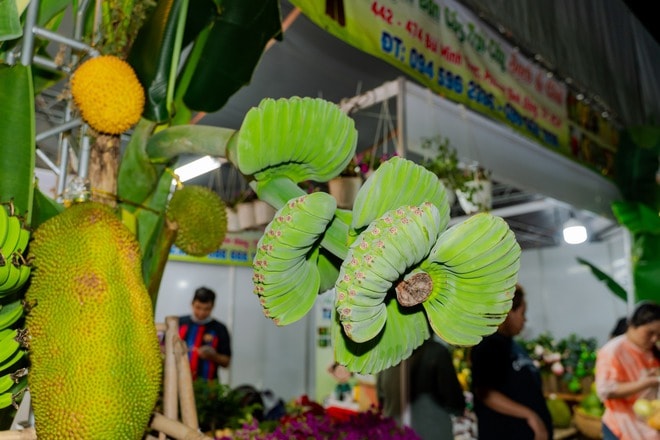 VIDEO: Bưởi tiến vua, na mùi sầu riêng, chuối bàn tay Phật giá dưới 1 triệu “đổ bộ” TPHCM dịp Tết 2026 - Ảnh 14.