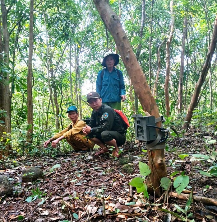 Bẫy ảnh giám sát đa dạng sinh học tại Mỹ Sơn - Ảnh 2.