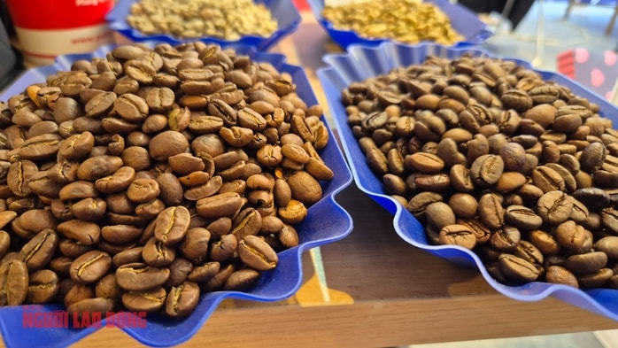 Giá cà phê hôm nay 20 - 12: Tiêu thụ tăng kỷ lục và giá giảm nhẹ - Ảnh 2.