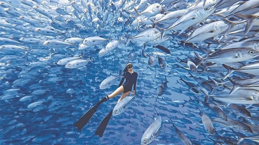 Nghề vừa đi du lịch, vừa kiếm hơn nửa tỷ đồng  - 2