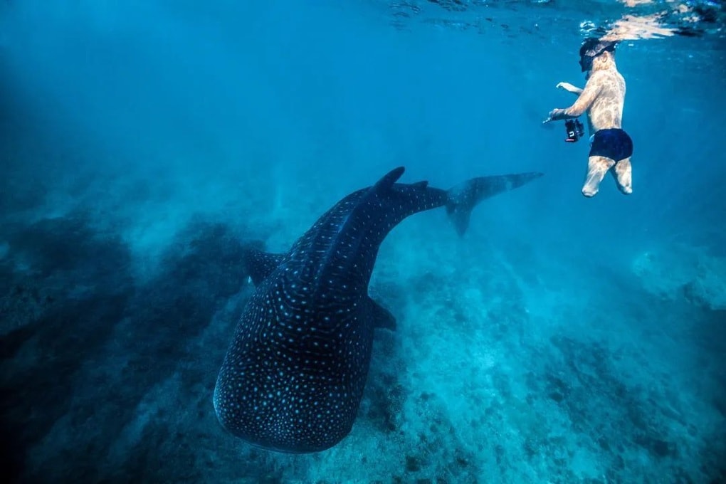 Nghề vừa đi du lịch, vừa kiếm hơn nửa tỷ đồng  - 3