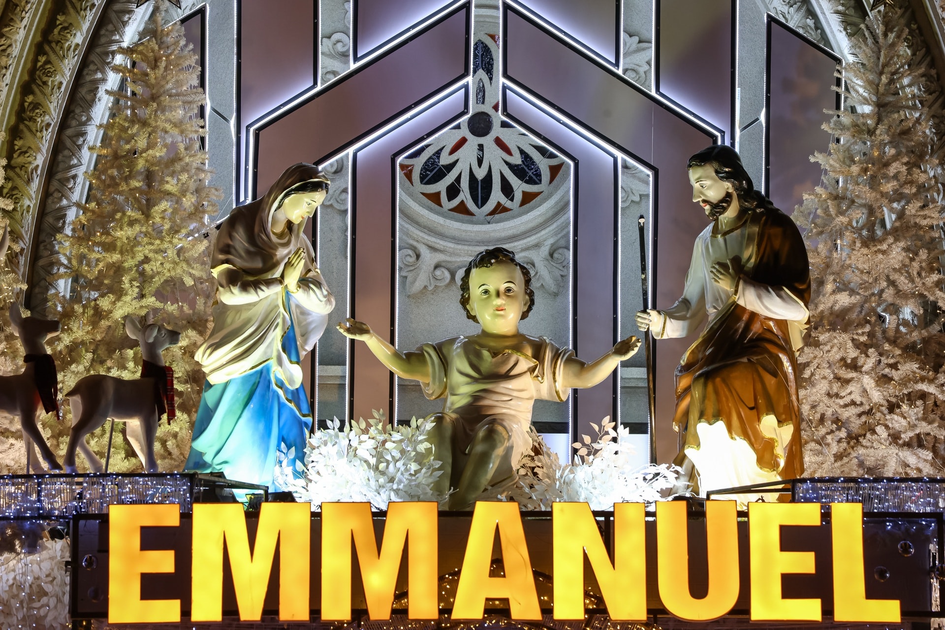 Ngắm nhà thờ kiến trúc châu Âu rực sáng mùa Giáng sinh ở TPHCM - 6