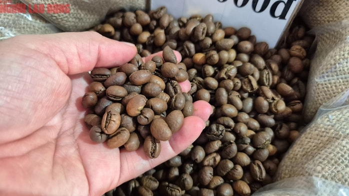 Giá cà phê hôm nay 21-12: Về lại mốc 90.000 đồng/kg - Ảnh 1.