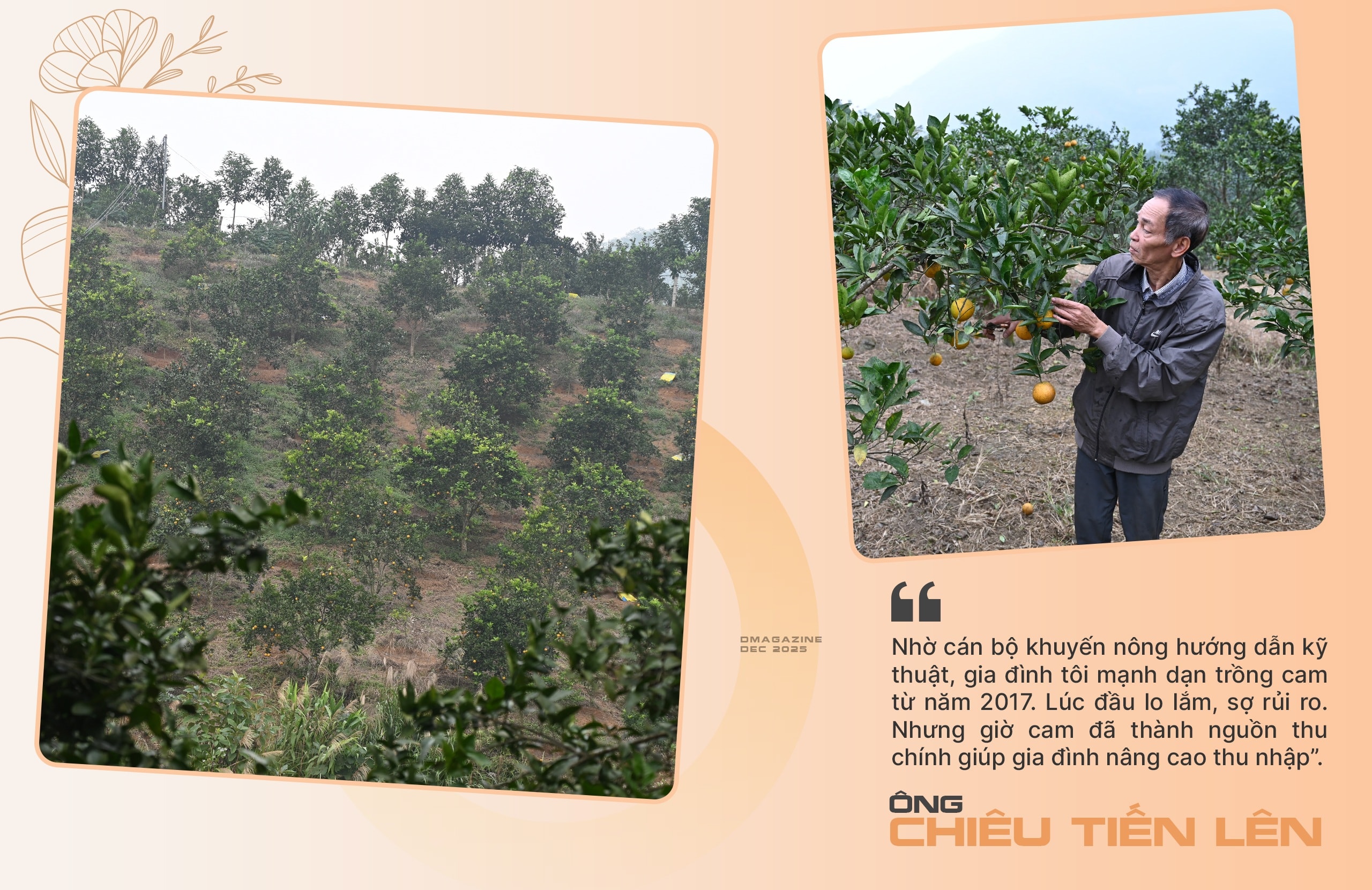 Phát triển nông nghiệp hàng hóa để giúp người dân thoát nghèo - 3