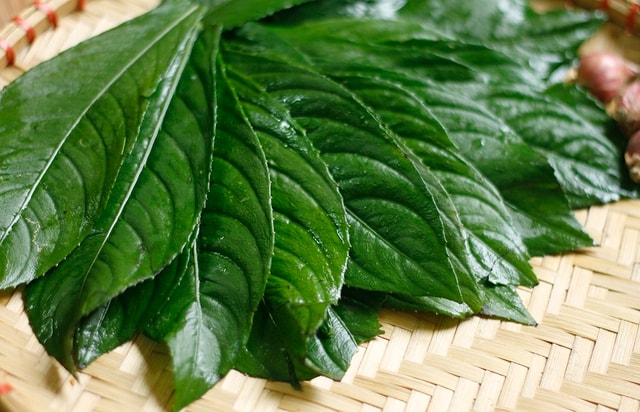 Công dụng không ngờ từ loại lá là gia vị phổ biến trong bếp người Việt - Ảnh 4.