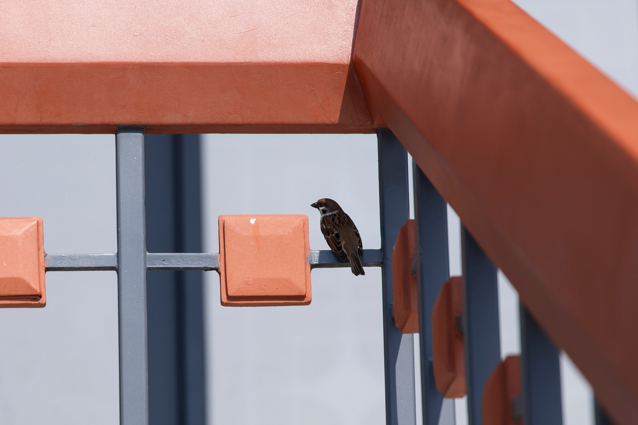 nha hat hoa binh anh 7