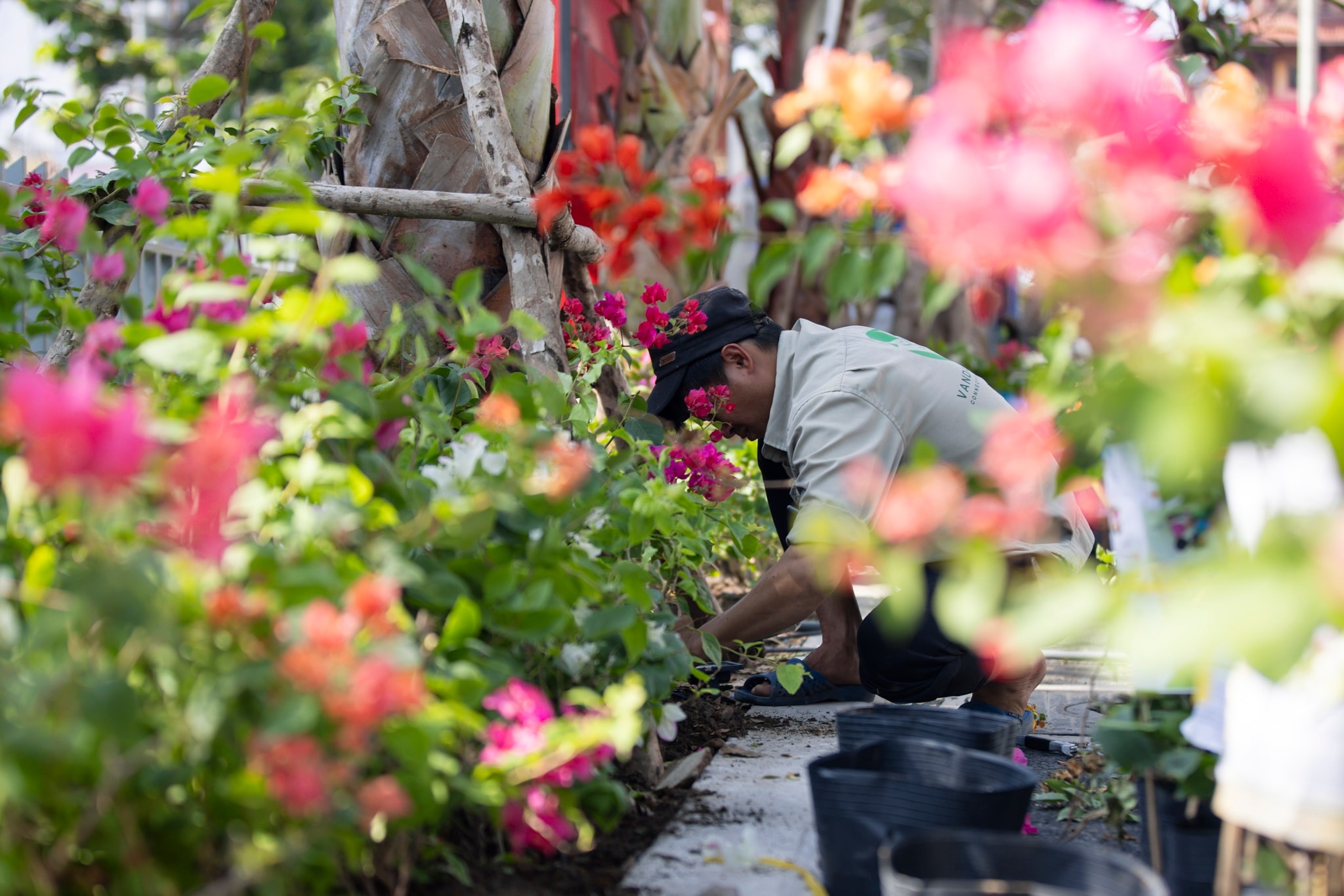 nha hat hoa binh anh 6